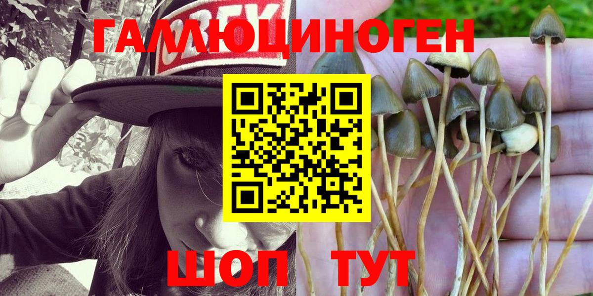 Псилоцибиновые грибы Magic Shrooms  Вход с VPN  Гулькевичи 